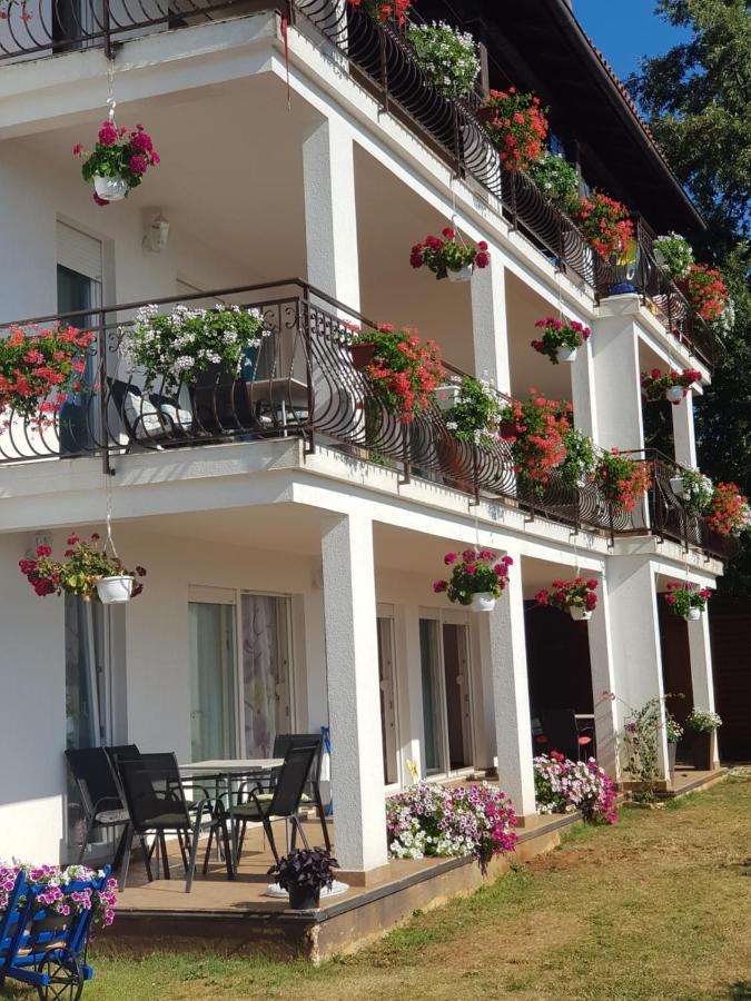 Adriana F. Apartment Dobrec Exterior photo